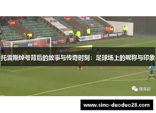 托雷斯绰号背后的故事与传奇时刻：足球场上的昵称与印象