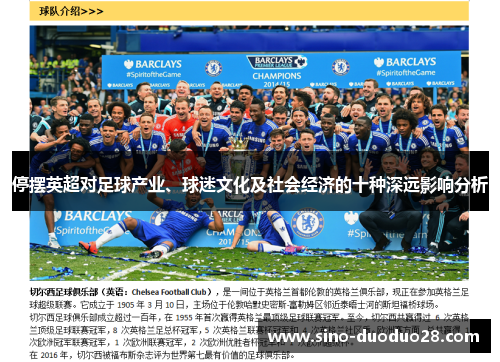 停摆英超对足球产业、球迷文化及社会经济的十种深远影响分析