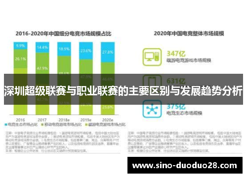 深圳超级联赛与职业联赛的主要区别与发展趋势分析