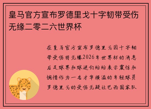 皇马官方宣布罗德里戈十字韧带受伤无缘二零二六世界杯